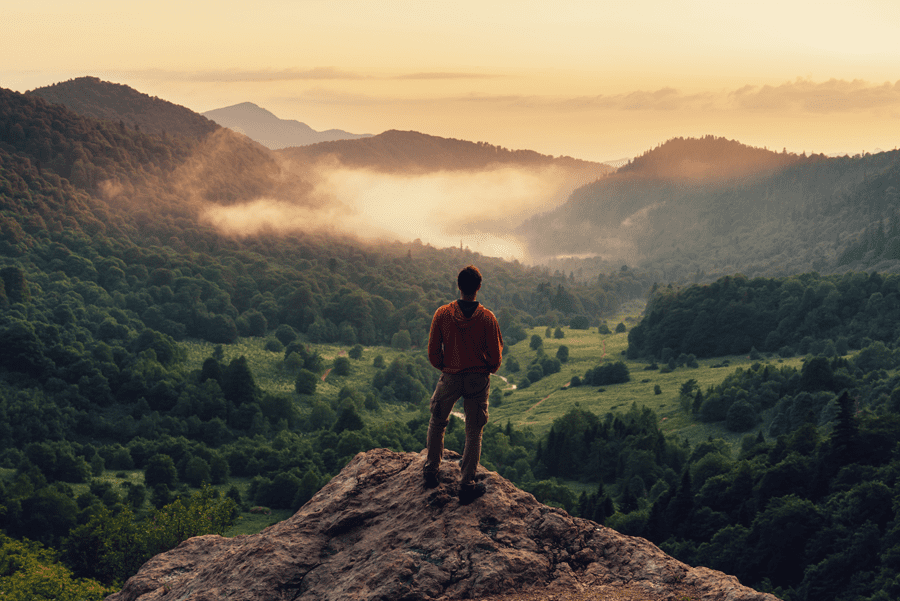 Planning Considerations for the New Tax Law Landscapes