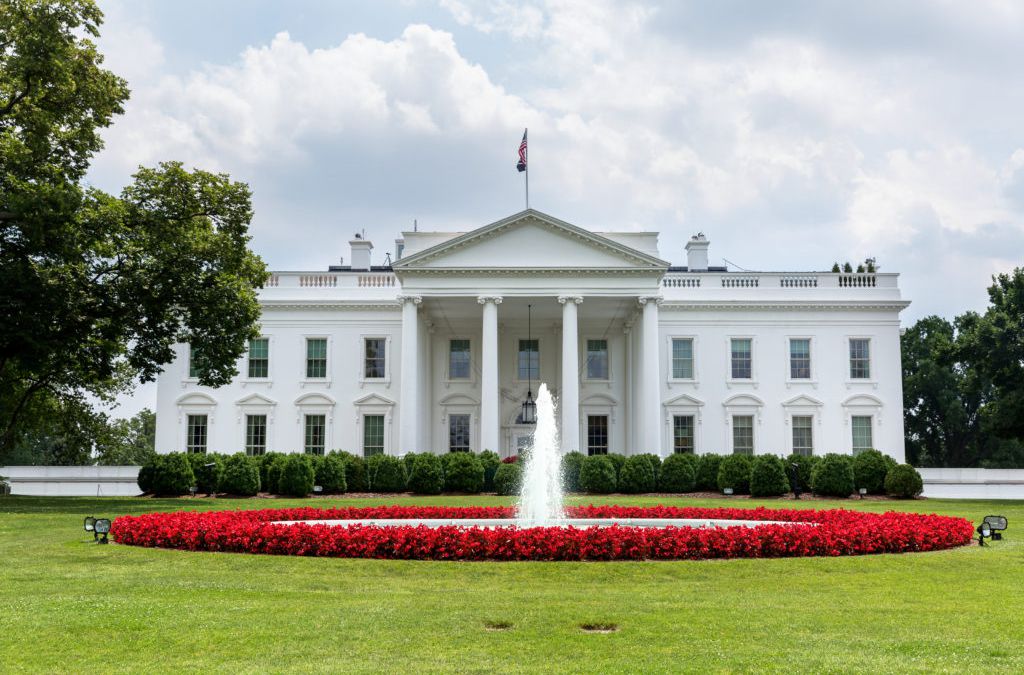 Estate Planners Are Wary of 2020 Election